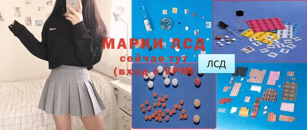 хмурый Магас
