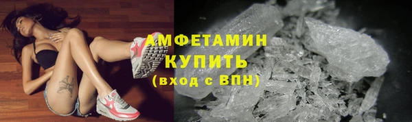 хмурый Магас