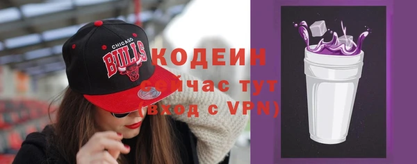 хмурый Магас