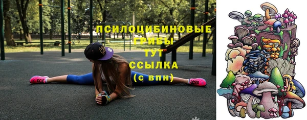 хмурый Магас