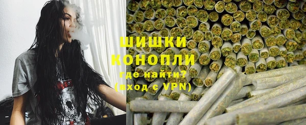 хмурый Магас