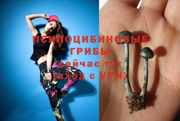 спайс Майский