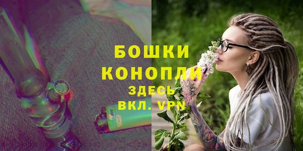 хмурый Магас