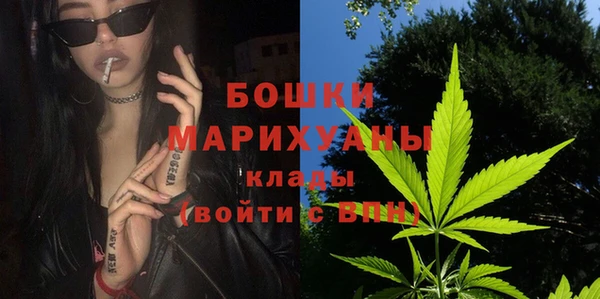 хмурый Магас