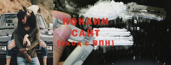 хмурый Магас